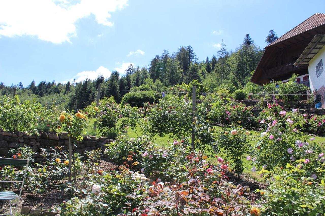 The Moosbach Garden Guest House Nordrach Exterior photo