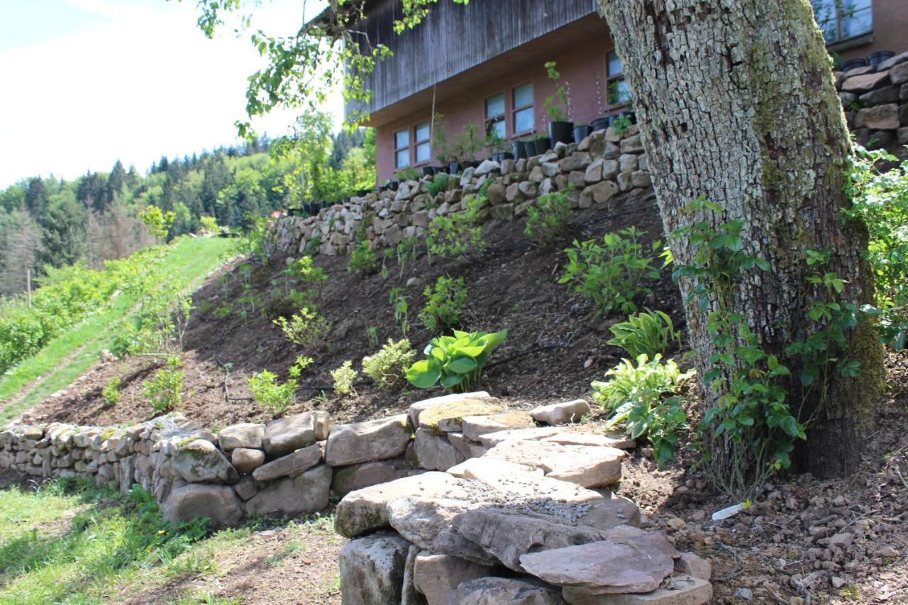 The Moosbach Garden Guest House Nordrach Exterior photo